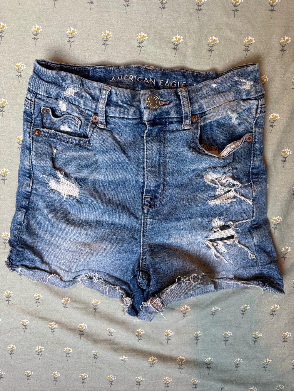 American Eagle Outfitters Distressed Light Blue Denim Jean Shorts